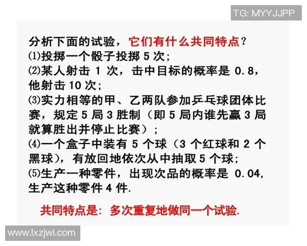 武汉乒乓球队实力分析与表现评估的全面研究报告