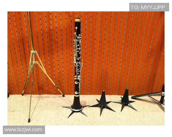 爵士乐的魅力与创新之旅：从传统到现代的音乐演变与发展探索